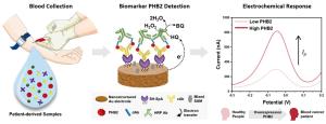 Sensitive electrochemical immunosensor to detect prohibitin 2, a potential blood cancer biomarker