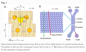 Effect of channel height on the critical particle diameter in a deterministic lateral device