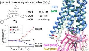 Discovery and Binding Mechanism of Pyrazoloisoquinoline-Based Novel β-Arrestin Inverse Agonists of the Kappa-Opioid Receptor
